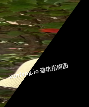 声音好听t，22岁，长沙伴游，手机18358669141